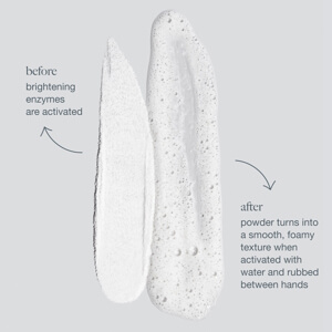 Dermalogica Daily Microfoliant® 75g